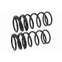 MEVOTECH SMS228V Coil Spring Set