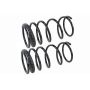 MEVOTECH SMS249V Coil Spring Set