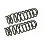 MEVOTECH SMS250131 Coil Spring Set