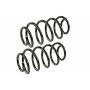 MEVOTECH SMS250134 Coil Spring Set
