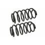 MEVOTECH SMS250138 Coil Spring Set