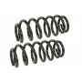 MEVOTECH SMS250141 Coil Spring Set