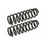 MEVOTECH SMS250145 Coil Spring Set