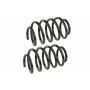 MEVOTECH SMS250146 Coil Spring Set
