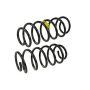 MEVOTECH SMS250156 Coil Spring Set