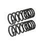 MEVOTECH SMS251V Coil Spring Set