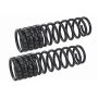 MEVOTECH SMS257V Coil Spring Set