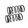 MEVOTECH SMS269V Coil Spring Set