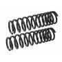 MEVOTECH SMS271V Coil Spring Set