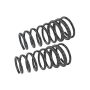 MEVOTECH SMS273V Coil Spring Set