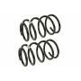 MEVOTECH SMS30024 Coil Spring Set