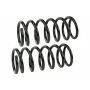 MEVOTECH SMS30027 Coil Spring Set