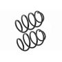 MEVOTECH SMS30029 Coil Spring Set