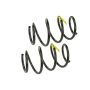 MEVOTECH SMS30030 Coil Spring Set