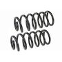 MEVOTECH SMS3156 Coil Spring Set