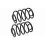 MEVOTECH SMS3227 Coil Spring Set