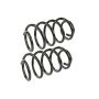MEVOTECH SMS500172 Coil Spring Set