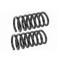 MEVOTECH SMS500173 Coil Spring Set