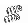 MEVOTECH SMS5041 Coil Spring Set