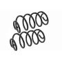 MEVOTECH SMS5417 Coil Spring Set
