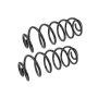 MEVOTECH SMS5455 Coil Spring Set