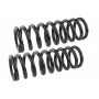 MEVOTECH SMS5534 Coil Spring Set