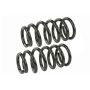 MEVOTECH SMS60044 Coil Spring Set