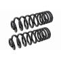 MEVOTECH SMS601V Coil Spring Set