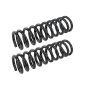 MEVOTECH SMS6033 Coil Spring Set