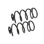 MEVOTECH SMS6197 Coil Spring Set