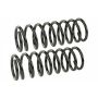 MEVOTECH SMS669V Coil Spring Set