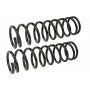 MEVOTECH SMS80099 Coil Spring Set