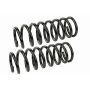 MEVOTECH SMS80645 Coil Spring Set