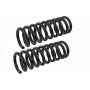 MEVOTECH SMS80662 Coil Spring Set