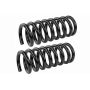 MEVOTECH SMS80864 Coil Spring Set