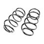 MEVOTECH SMS81160 Coil Spring Set