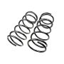 MEVOTECH SMS81166 Coil Spring Set