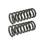 MEVOTECH SMS81196 Coil Spring Set
