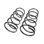 MEVOTECH SMS81204 Coil Spring Set