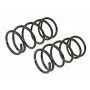 MEVOTECH SMS81621 Coil Spring Set