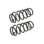 MEVOTECH SMS81626 Coil Spring Set