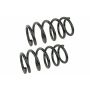 MEVOTECH SMS81628 Coil Spring Set