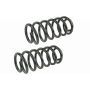MEVOTECH SMS81631 Coil Spring Set