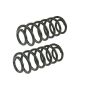 MEVOTECH SMS81638 Coil Spring Set