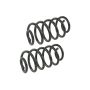 MEVOTECH SMS81646 Coil Spring Set