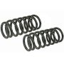 MEVOTECH SMS81651 Coil Spring Set