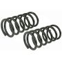 MEVOTECH SMS81655 Coil Spring Set