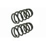 MEVOTECH SMS81657 Coil Spring Set