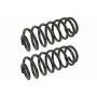 MEVOTECH SMS81665 Coil Spring Set