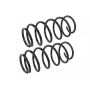 MEVOTECH SMS86052 Coil Spring Set